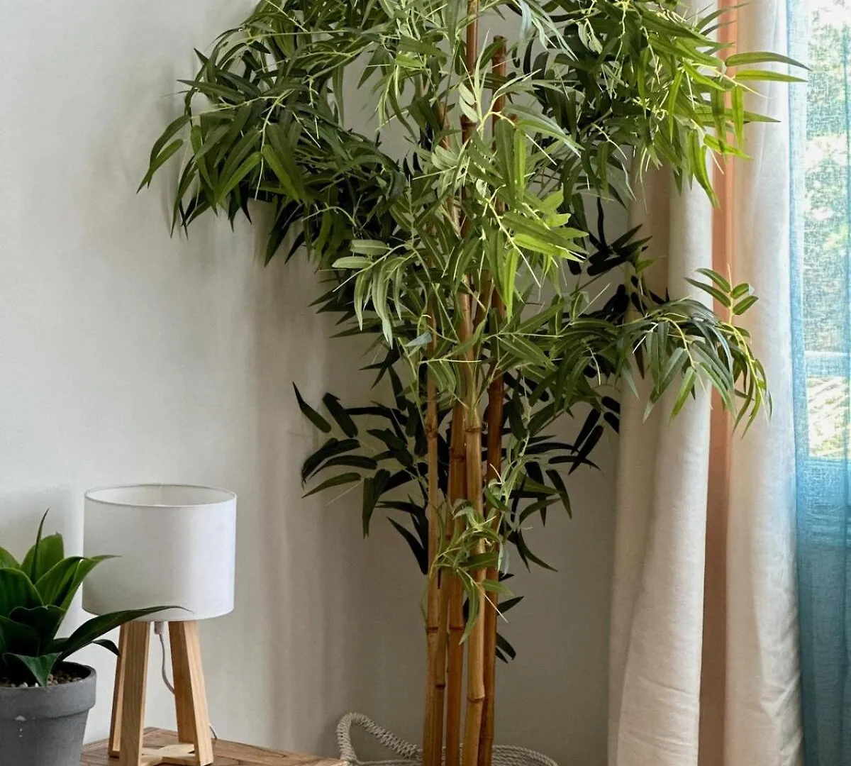 Renovated 2 Bedrooms Apartment Beach Front 오리엔트베이 0*,